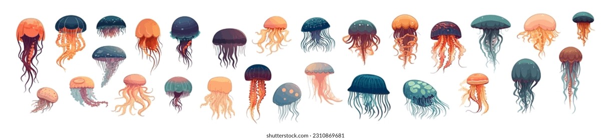 Conjunto de medusas, dibujos planos aislados en fondo blanco. Ilustración del vector