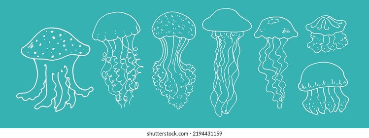 a set of jellyfish. hand-drawn cartoon in the style of different shapes with long and short tentacles with a pattern of dots and stripes highlighted with a white line on turquoise for a design 
