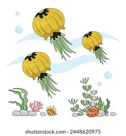 set Jellyfish. Insulated yellow jellyfish on a white background, sea bottom. Color illustration in the style of cartoon. Seafloor with algae, shells and corals