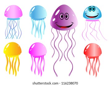 Set of jellyfish isolated on white background