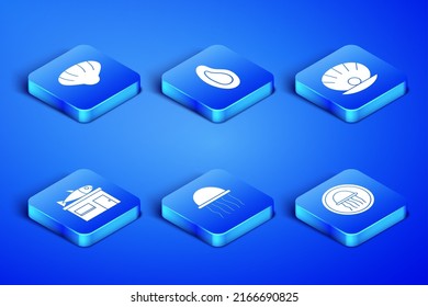 Set Jellyfish on a plate, Scallop sea shell, Seafood store, Mussel and Shell with pearl icon. Vector