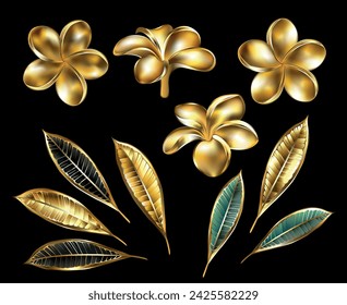 Set von Schmuck, glänzende, kostbare, goldene Blüten und Pflaumenblätter auf schwarzem Hintergrund. Goldblumen-Plumeria.