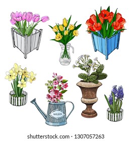 Set jof different spring flowers in containers. Hand drawn objects in sketch style isolated on white background. Vector illustration.