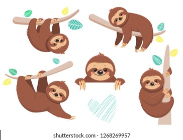 Set of joyful sloth sitting on a branch. Vector illustration. Cartoon slyle.Isolated on white background