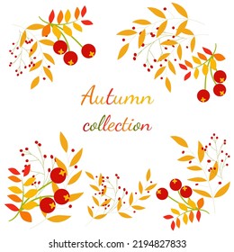 Set of juicy berries and autumn leaves. Autumn collection.For your design. Vector illustration.