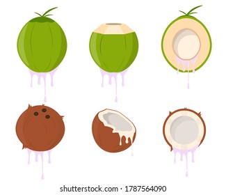 Set of Juicy Coconut Vector Design. Flat Design Illustration.