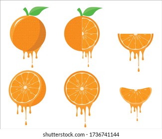 Set of Juicy, Fresh, Half, Sliced, Leaves, grains Orange Fruit Isolated on White Background. Juicy Orange Package.  Vector Design Illustration