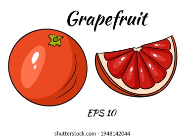 A set of juicy grapefruit. Grapefruit, whole and half cut. Illustrations for design and decoration.