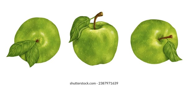 A set of juicy green apples. Vector graphics.