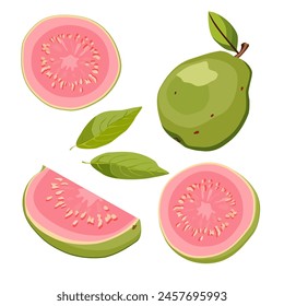 Set of juicy and healthy green guava and pink slices isolated on white background. Vector sliced tropical fruit illustration in flat style. Summer clipart for design of card, banner, flyer, poster