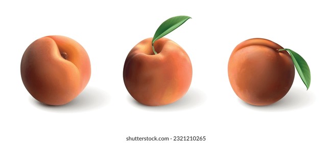 Set of juicy peaches on white background