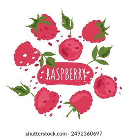 Satz saftiger Himbeeren mit Text. Frische, sommerliche und leckere Beeren. Vektorgrafik-Etikett von Bio-Beeren. Umweltzeichen für natürlichen Himbeergeschmack. Design für Saft, Smoothie, Kosmetik, Eis.