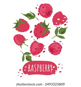 Set of juicy raspberries with text. Fresh, summer and delicious berries. Vector label of organic berries. Eco-label for natural raspberry flavor. Design for juice, smoothie, cosmetics, ice cream.