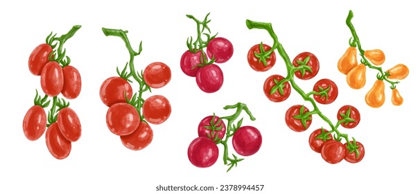 Set of juicy ripe tomatoes. Vector graphics.