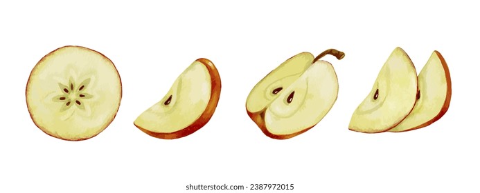 A set of juicy slices and halves of apple fruit. Vector graphics.