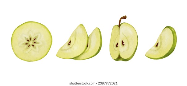 A set of juicy slices and halves of apple fruit. Vector graphics.
