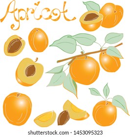 A set of juicy summer fruits and berries - sweet apricot. All elements are drawn by hand.