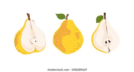 Set of Juicy yellow pears whole and cut, simple flat style 