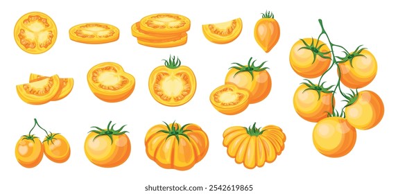 Conjunto de tomates amarillos jugosos en estilo de dibujos animados. Ilustración vectorial de tomates deliciosos, enteros, mitades, rebanadas, con subgrupos verdes, semillas aisladas sobre fondo blanco. Una rama de tomates cherry.