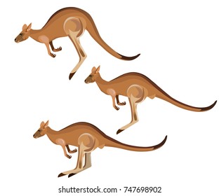 Set of jumping kangaroos. Vector illustration isolated on the white background