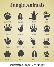 find free cougar paws and clipart