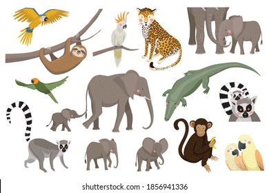 Set of jungle animals. Safari, elephant, leopard, parrot, monkey, sloth, lemur, crocodile. Vector illustration.