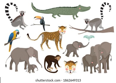 Set of jungle animals. Safari, elephant, leopard, parrot, monkey, lemur, crocodile, toucan. Vector illustration.