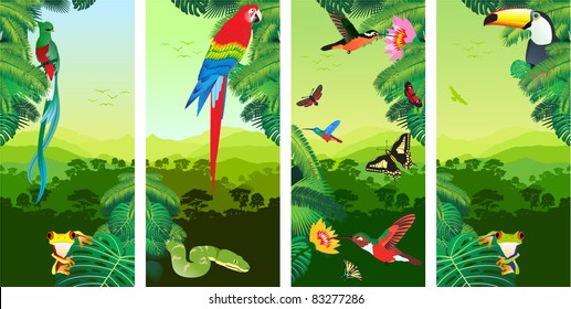 Set of Jungle Banners with Frog, Toucan, quetzal, humming-birds, butterflies , Ara and Green Snake