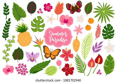 Set of jungle design elements - tropical flowers, butterfly, orchid, hibiscus, pineapple, banana, calla, plumeria, orange, monstera