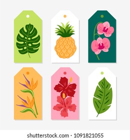 Set of jungle Gift Tags with monstera leaf, pineapple, orchid, strelitzia, hibiscus, palm