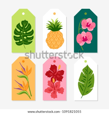 Set of jungle Gift Tags with monstera leaf, pineapple, orchid, strelitzia, hibiscus, palm