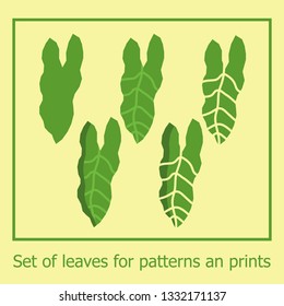 Set of jungle leaves for patterns and prints. Vector green  tropical exotic leaves with paper cut effect. Summer set for background, wallpaper, fabric, prints, cards, packaging. 