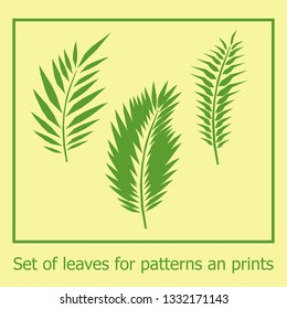 Set of jungle leaves for patterns and prints. Vector green  tropical exotic leaves with paper cut effect. Summer set for background, wallpaper, fabric, prints, cards, packaging. 