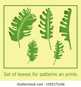 Set of jungle leaves for patterns and prints. Vector green  tropical exotic leaves with paper cut effect. Summer set for background, wallpaper, fabric, prints, cards, packaging. 