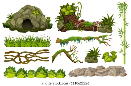 Set of jungle objects illustration