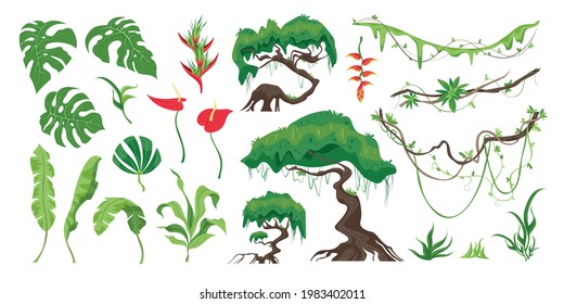 Conjunto de plantas selváticas árboles helechos flores y otros detalles de selva tropical ilustración vectorial plana