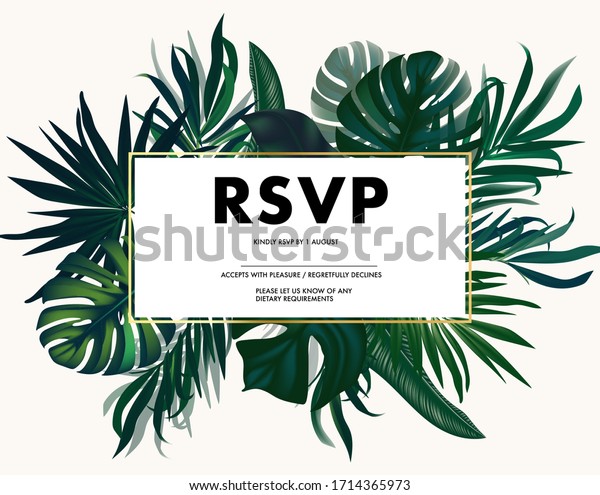 Set Jungle Safari Leaves Isolated On Stock Vector (Royalty Free ...