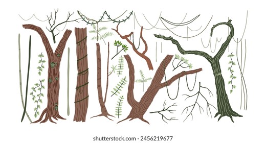 Conjunto de árboles de la selva, viñas y ramitas. Selva tropical, naturaleza salvaje. Ilustración vectorial en estilo plano.