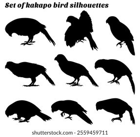 Set of kakapo bird silhouettes