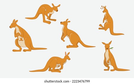 Set of kangaroo in 6 action