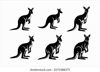 Set of kangaroo animals vector illustration