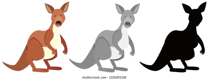 Set of kangaroo character illustration