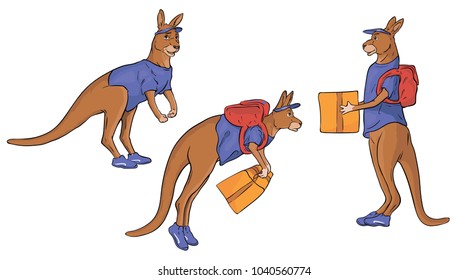 A set of kangaroo characters delivers a package. kangaroo stand, kangaroo jump