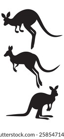 Set of Kangaroo Silhouette Vector Illustrations