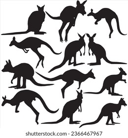 Set of kangaroo Silhouettes on a white background.
