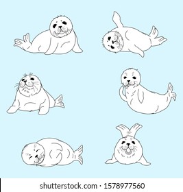 set of kawaii fur seals, baby nerpas, cartoon drawing isolated characters, cute animals, editable vector illustration for kids print, decoration, stickers