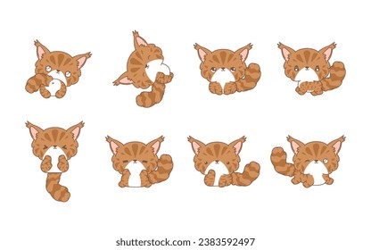 Set of Kawaii Isolated Maine Coon Cat. Collection of Vector Cartoon Cat Illustrations for Stickers, Baby Shower, Coloring Pages, Prints for Clothes. 