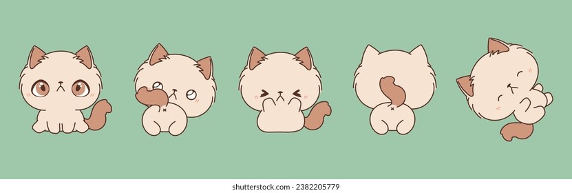 Set of Kawaii Isolated Ragamuffin Cat. Collection of Vector Cartoon Animals Illustrations for Stickers, Baby Shower, Coloring Pages, Prints for Clothes. 