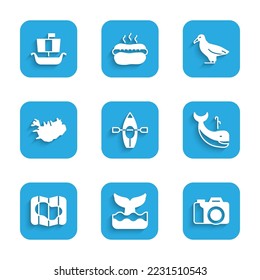 Set Kayak and paddle, Whale tail, Photo camera, Map of Iceland, Albatross and Viking ship Drakkar icon. Vector