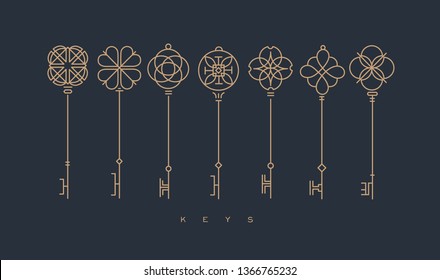 Set of key collection in modern line style drawing on gray background.